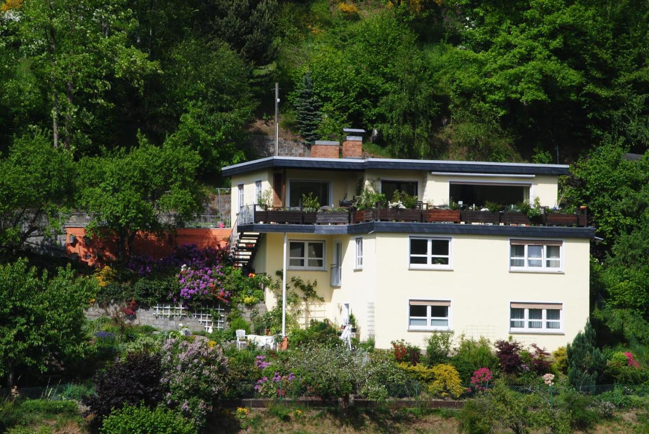 Ferienwohnung Haus Am Sommerberg Ludwigsstadt المظهر الخارجي الصورة